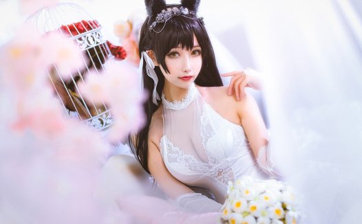 Momoko葵葵写真图片包合集[Cosplay] [持续更新]